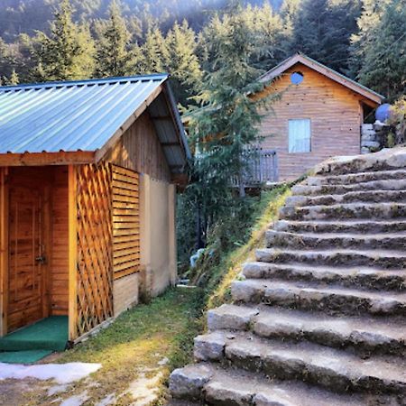 Mid Conifer Cottage Dalhousie Exterior photo